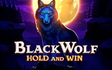 Black Wolf Hold and Win — slot na Winkey Casino